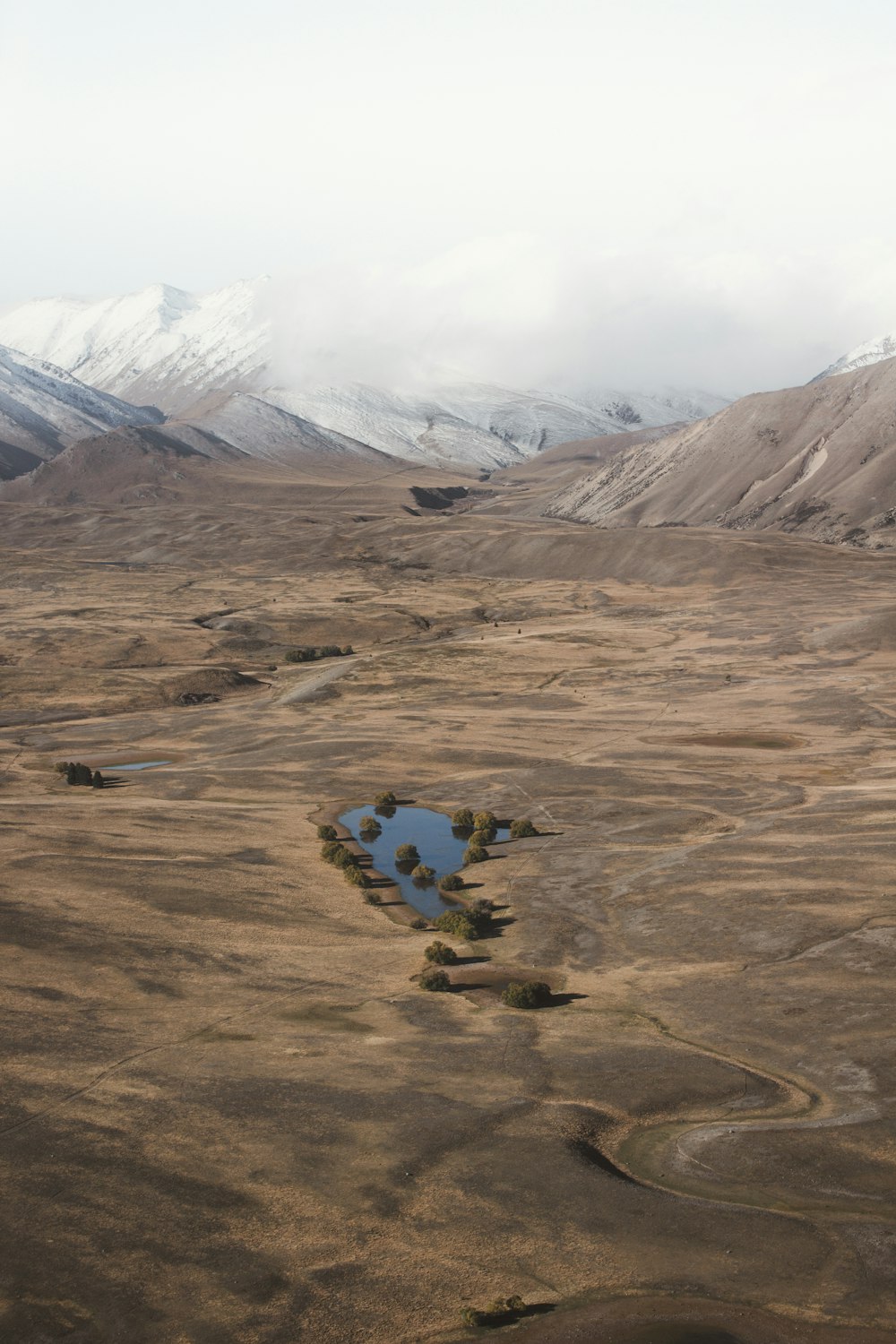 oasis in middle of desert during daytime