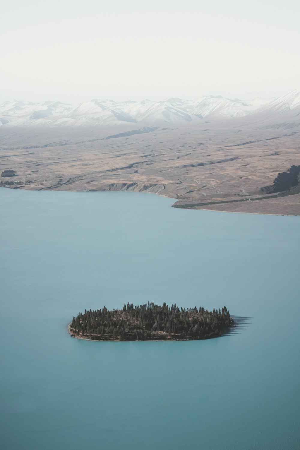 forest islet near seashore during daytime