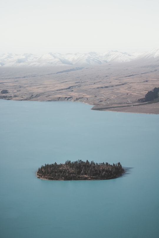 forest islet near seashore during daytime in Lake Tekapo New Zealand