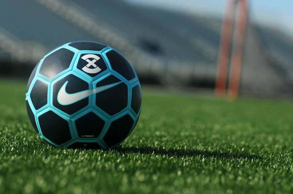 黒、青、白の芝生のサッカーボール