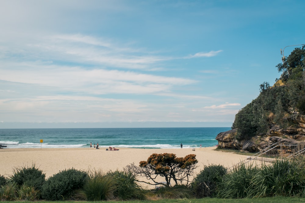 people on beach during daytime