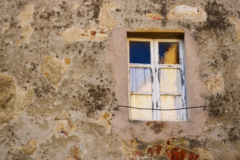 grey and white window