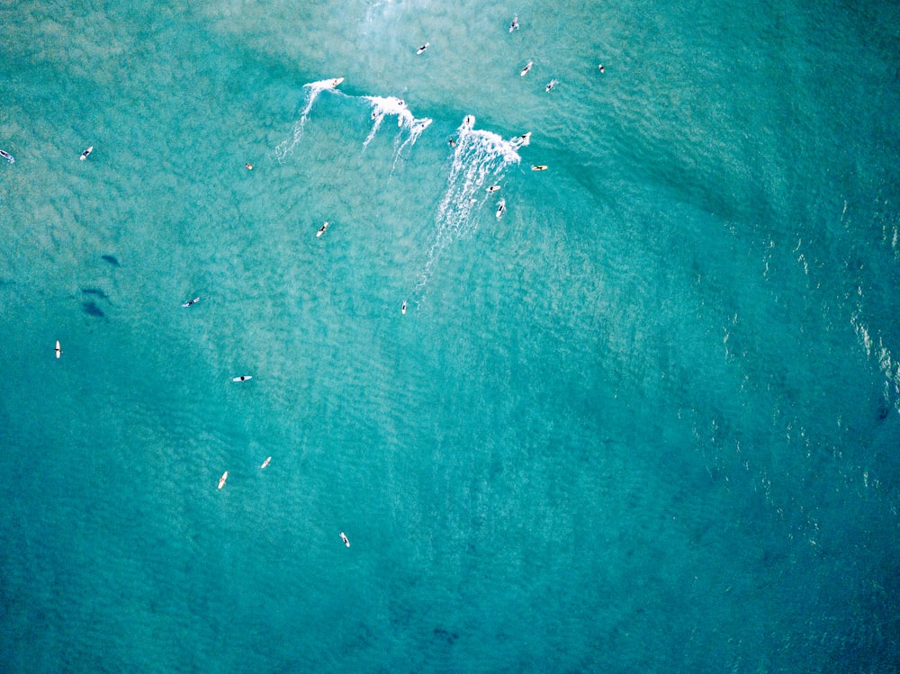 Vista superior de la foto del cuerpo de agua
