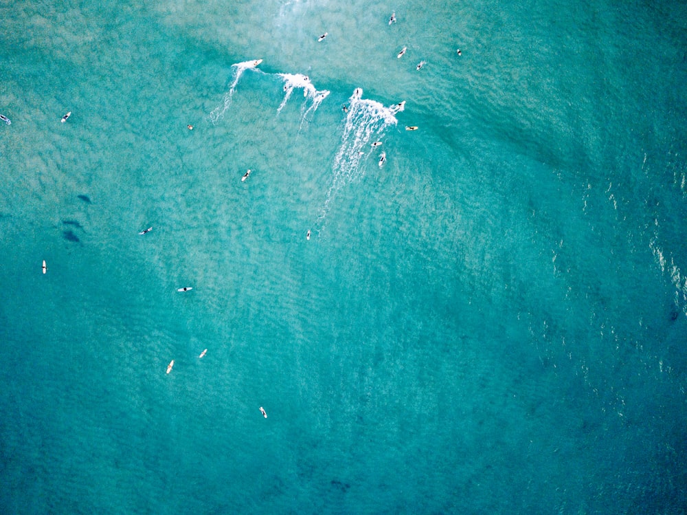 foto vista dall'alto dello specchio d'acqua