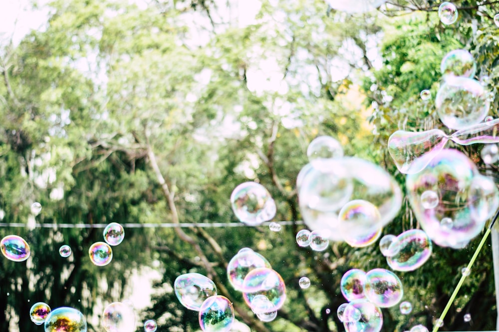 Photographie de bulles à mise au point peu profonde