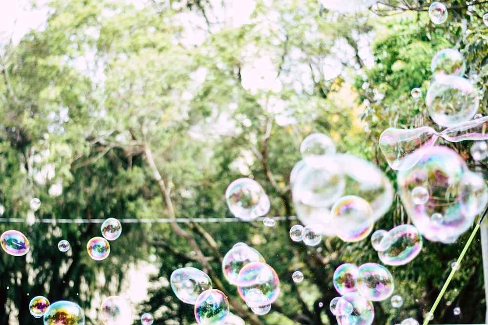 shallow focus photography of bubbles