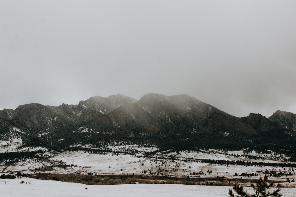 grayscale photography of mountain