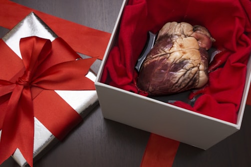 A realistic-looking heart is placed inside a white gift box lined with red cloth. Beside it is a silver gift box wrapped with a red ribbon. The presentation is striking and dramatic.