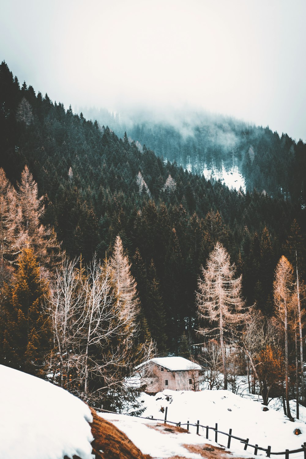 brown wooden house near green leaf trees during daytime