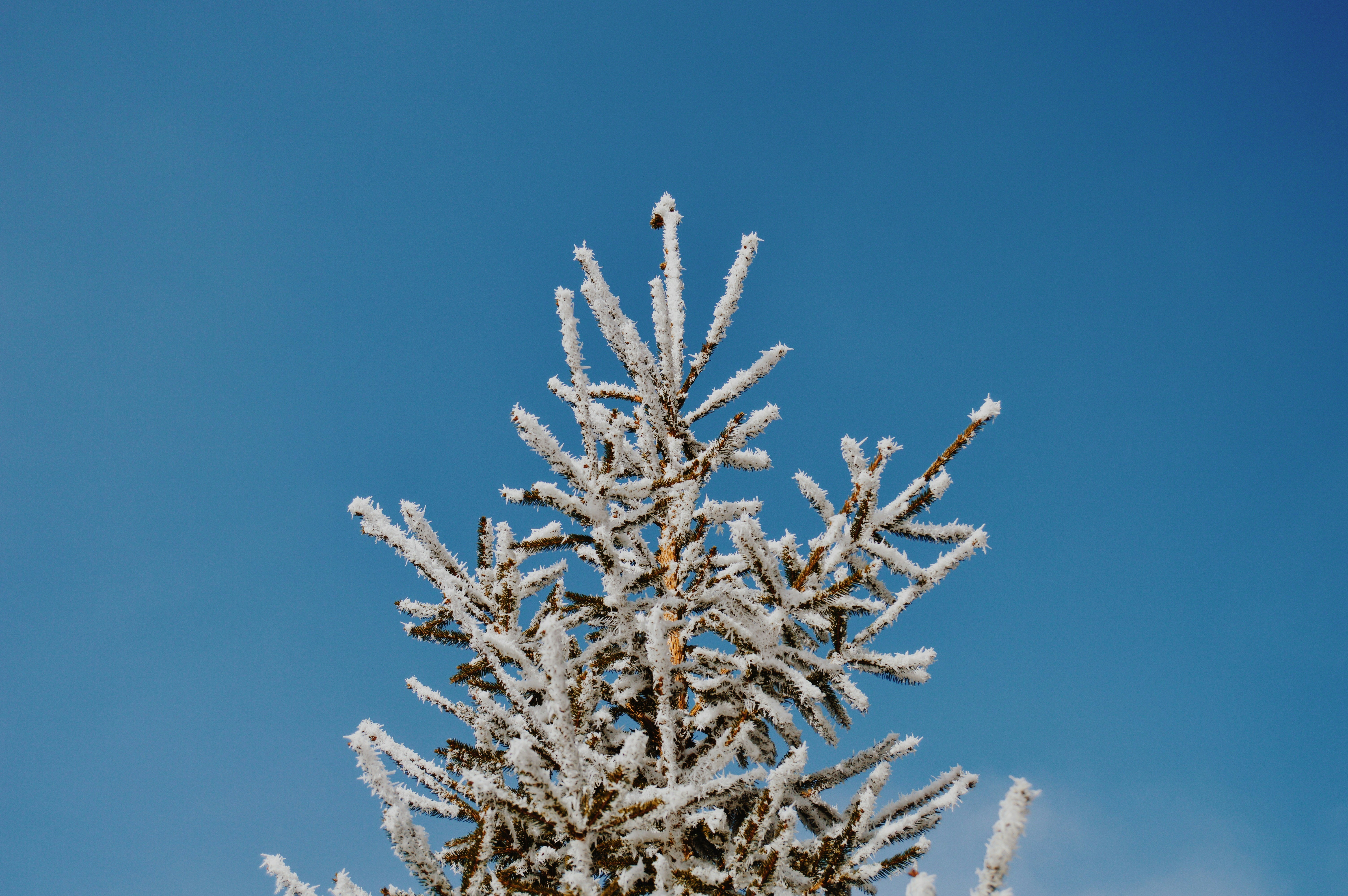 Adventuring through the Canadian Rockies