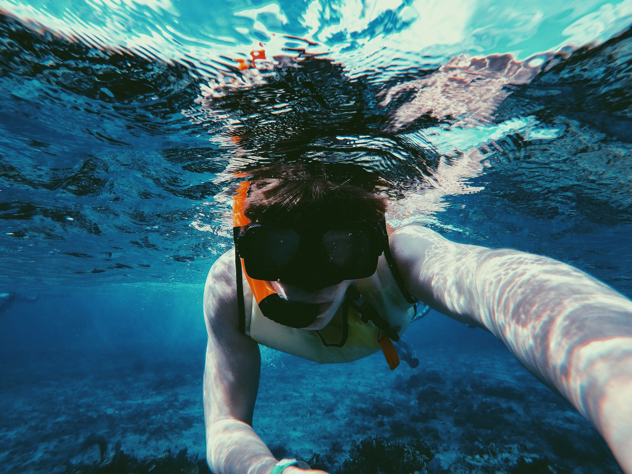 Person snorkeling underwater above a coral reef