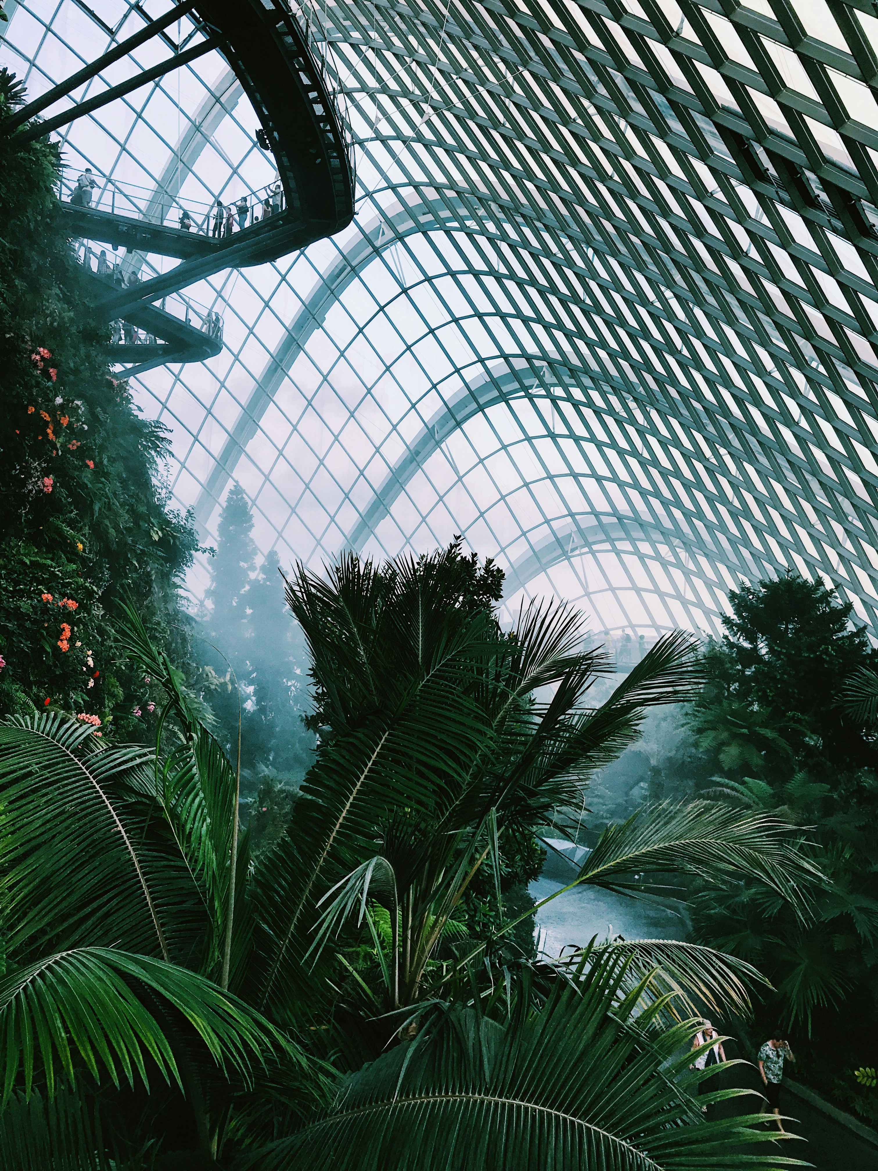 Greenhouse Installation Services