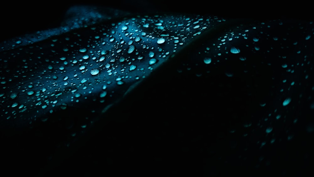 water droplets on black surface