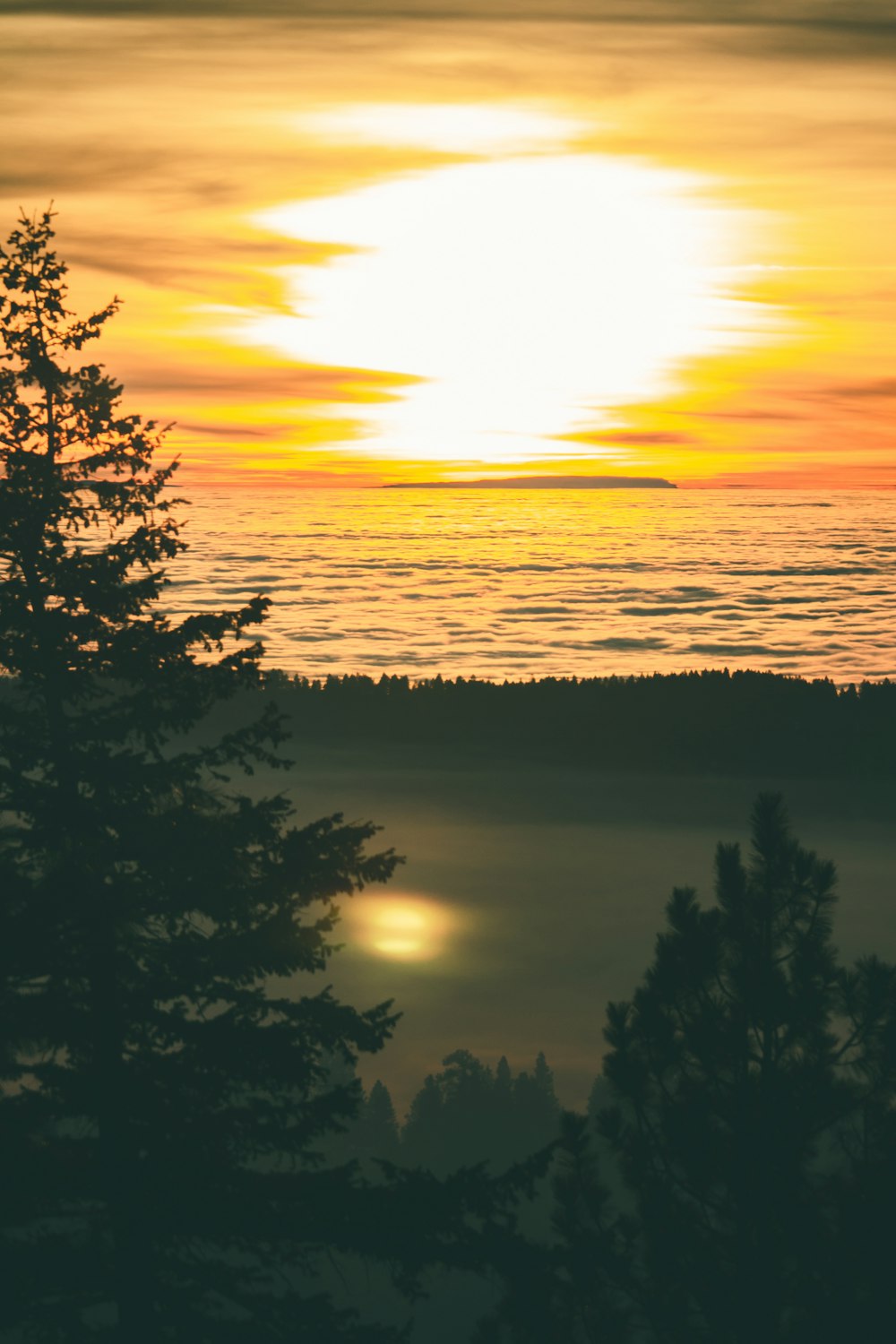 silhouette of mountain and pine trees