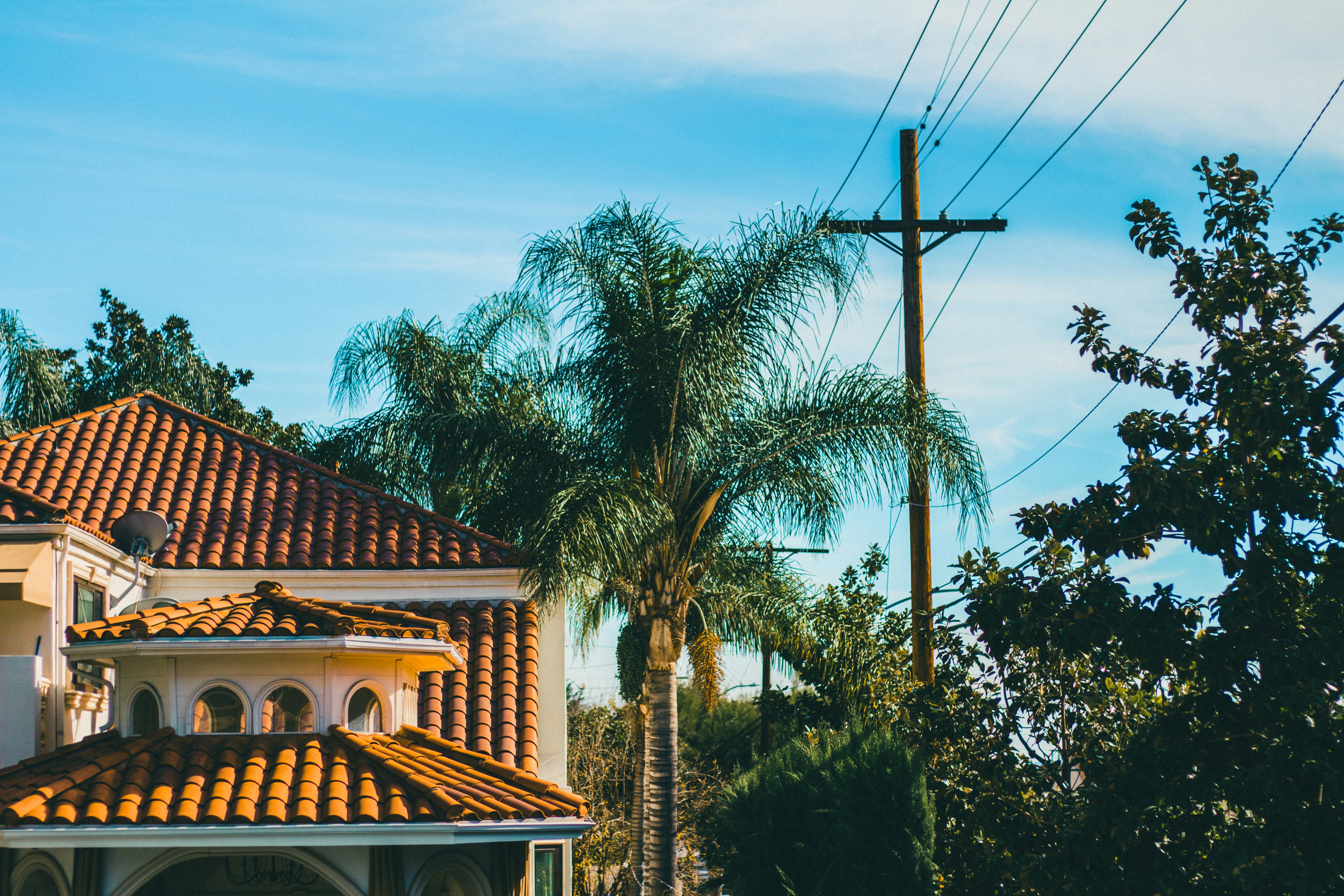 Photo by lespaulster11