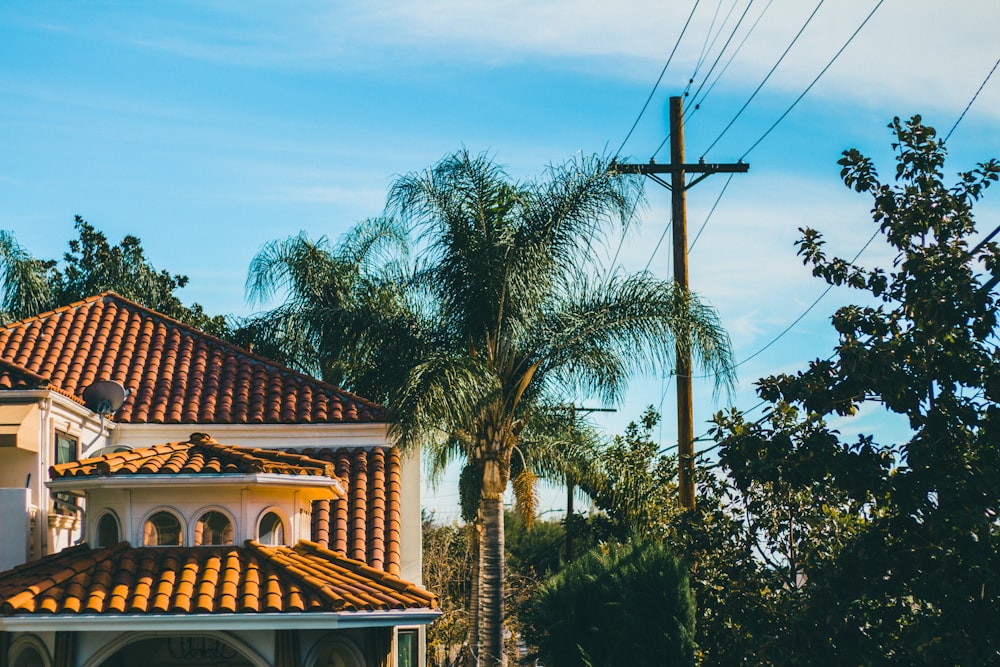 Palmera verde cerca de la casa marrón y blanca bajo el cielo azul durante el día