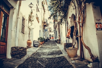 pathway in between houses