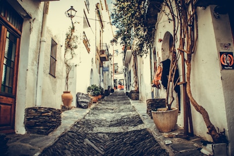 pathway in between houses