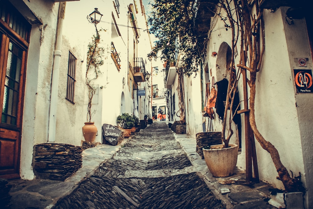 Chemin entre les maisons