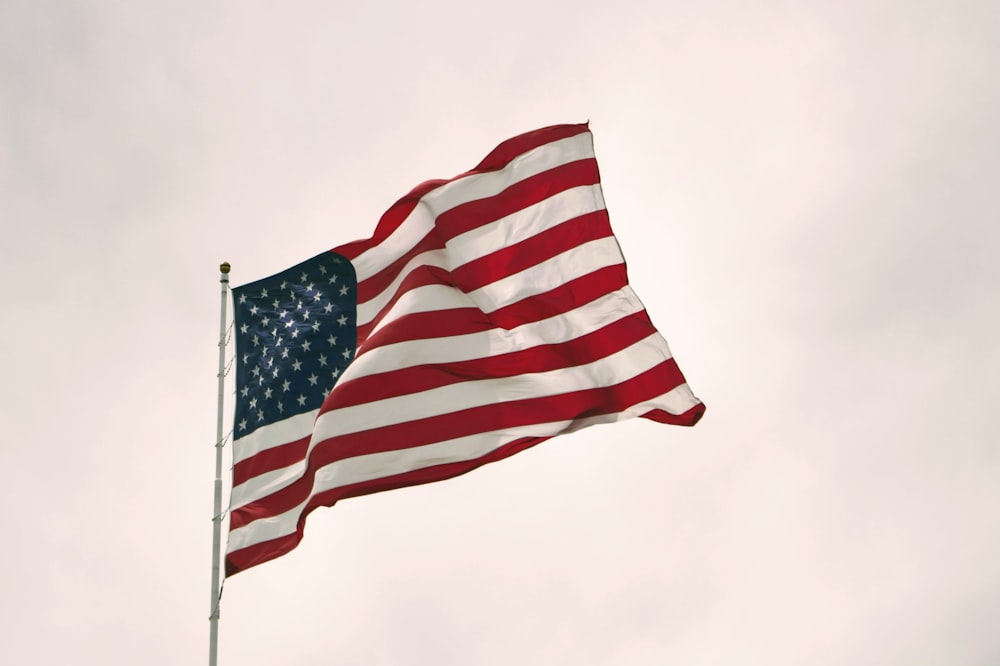 U S Flag On Pole Windy Day Photo Free Tree Image On Unsplash
