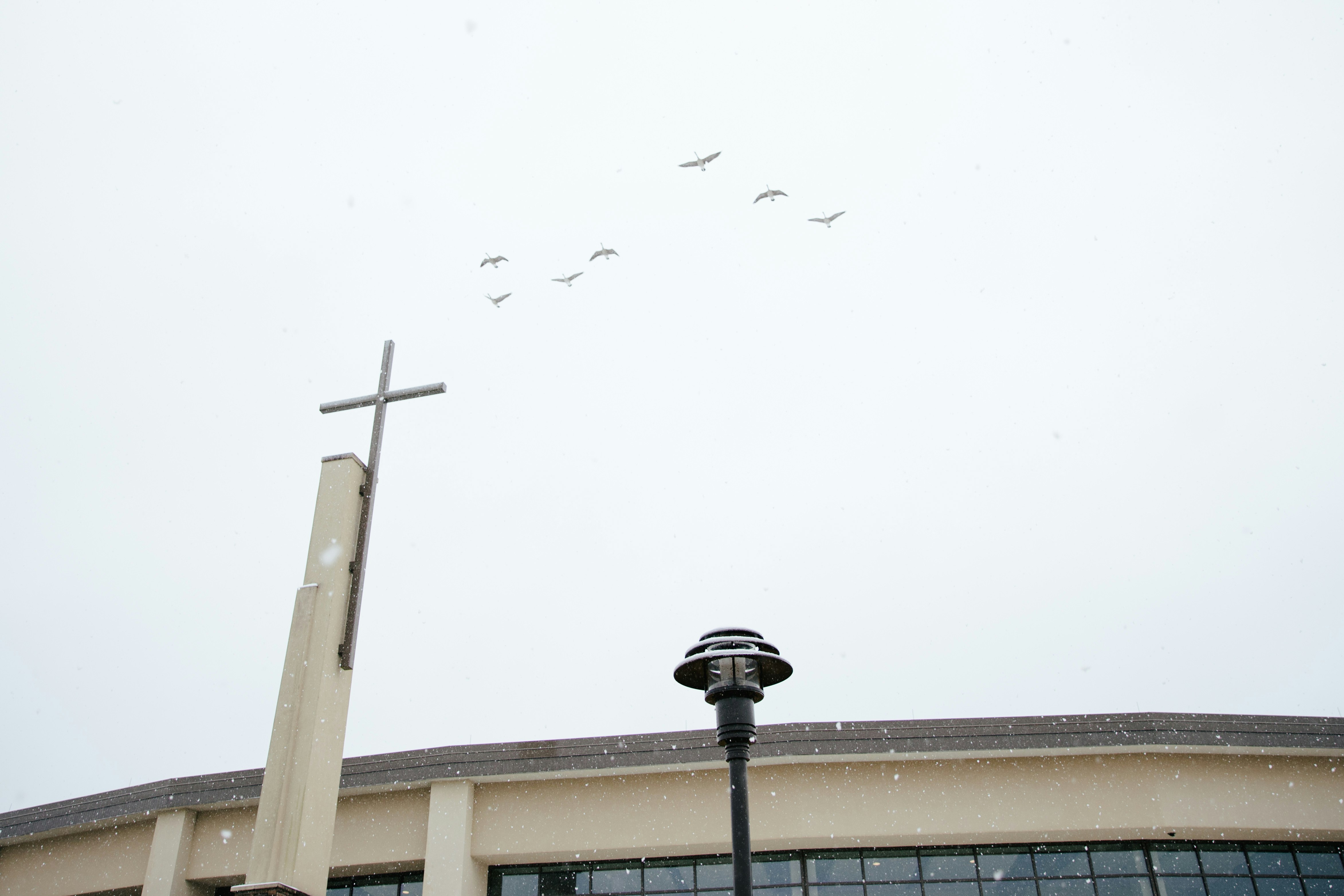 Birds Flying Over A Snowy Cross