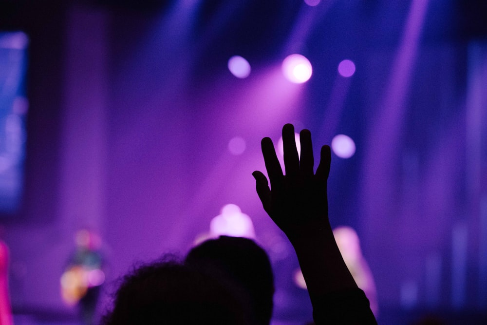 close-up photography of person rising right hand