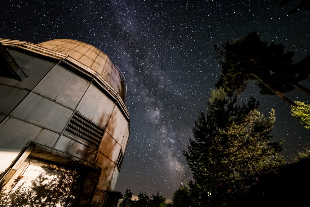 low angle photography of building under starry night