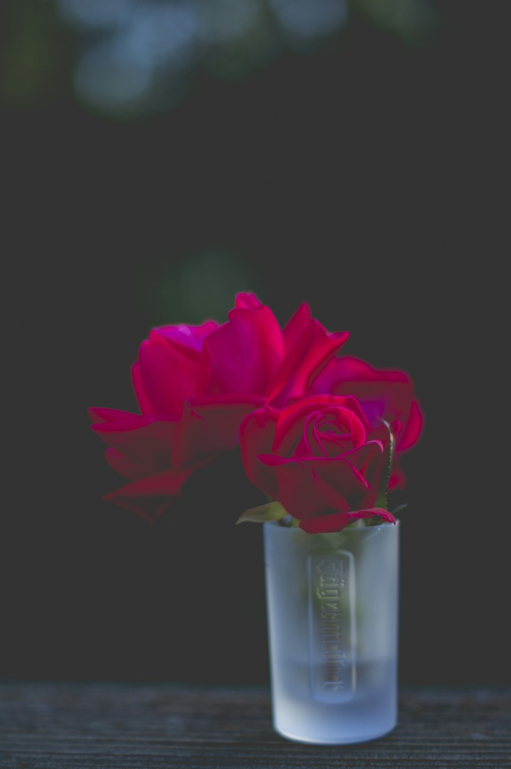 Roses rouges en verre à liqueur dépoli