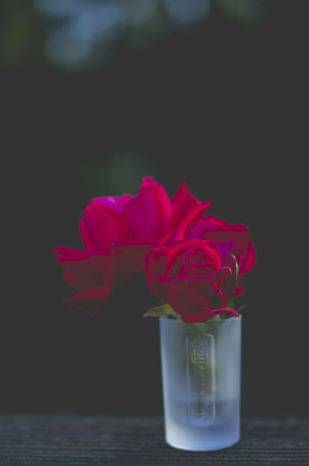 red roses in frosted shot glass