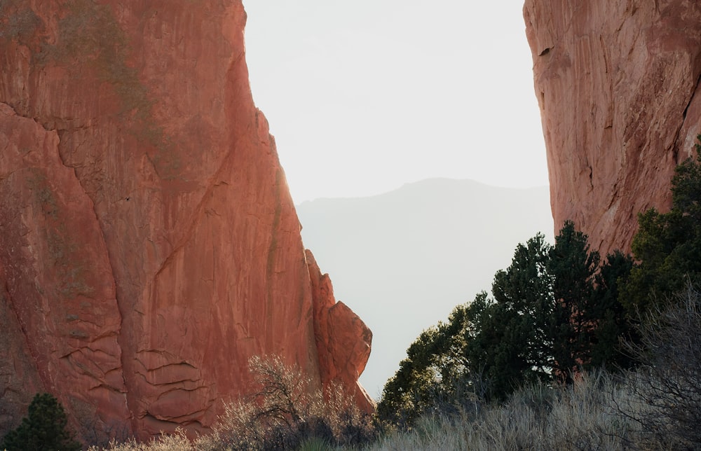 rock formation near trees at daytime