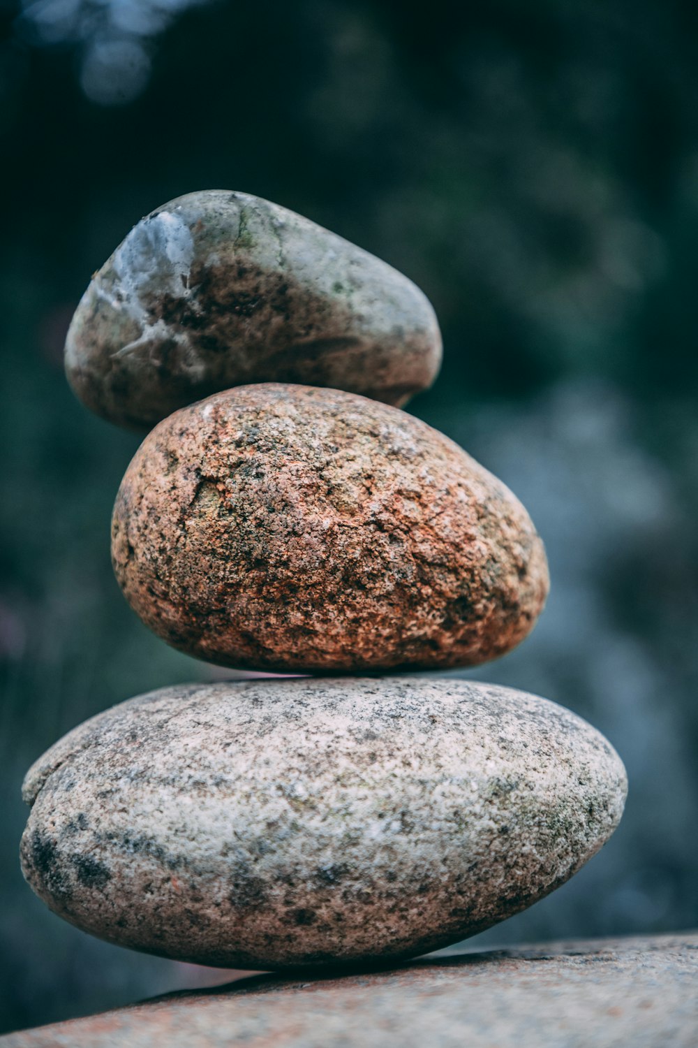 closeup photo of rocks