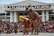 A lively cultural performance is taking place in front of a large crowd. Performers wearing traditional attire are engaged in a synchronized dance. The building in the background has a sign that reads 'LA LALAWIGAN NG KALINGA.' Spectators are actively watching and the atmosphere appears festive.
