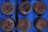 A series of round peat pellets are arranged on a blue tray, each filled with dark, moist soil from which small seedlings are just beginning to sprout. Thin, fragile roots and bits of organic material are visible on the surface.