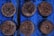 A series of round peat pellets are arranged on a blue tray, each filled with dark, moist soil from which small seedlings are just beginning to sprout. Thin, fragile roots and bits of organic material are visible on the surface.