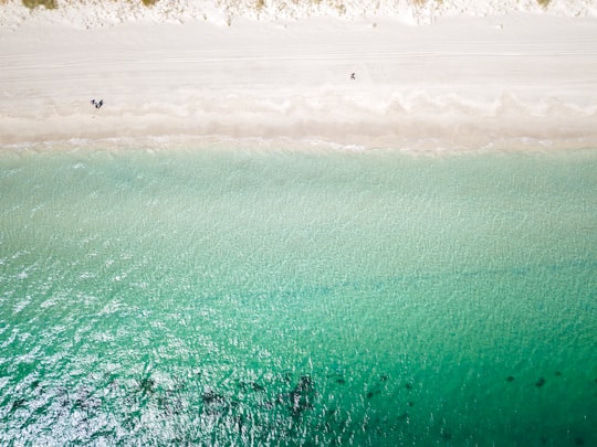 aerial view photography of beach during daytime in Coogee Beach Australia