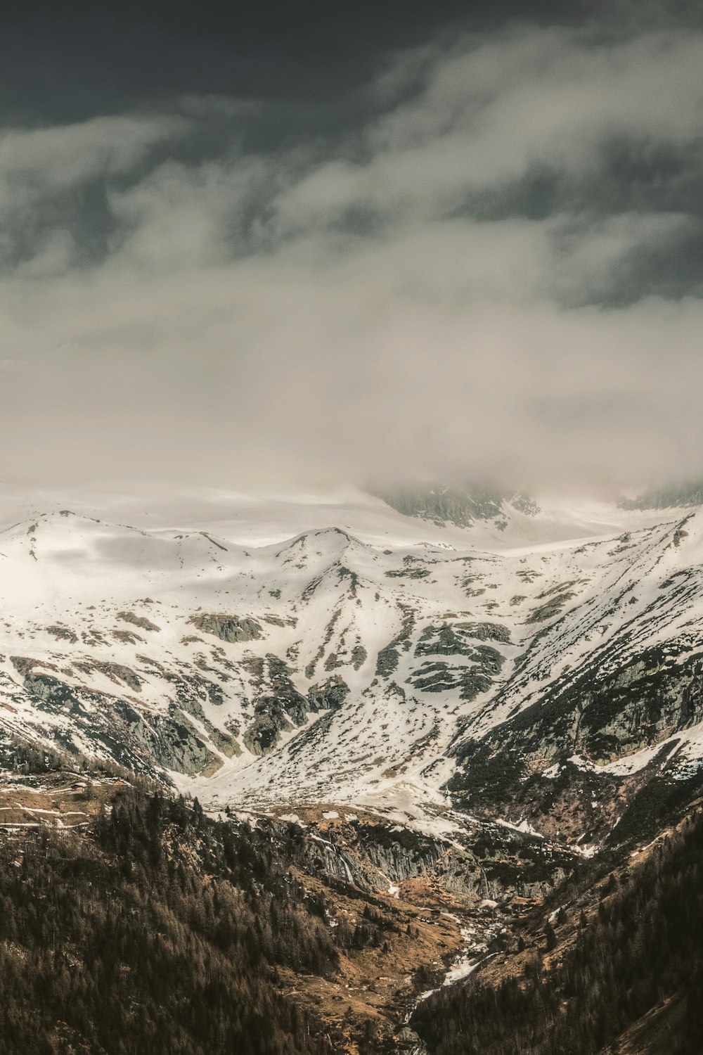 mountain range covered by snow