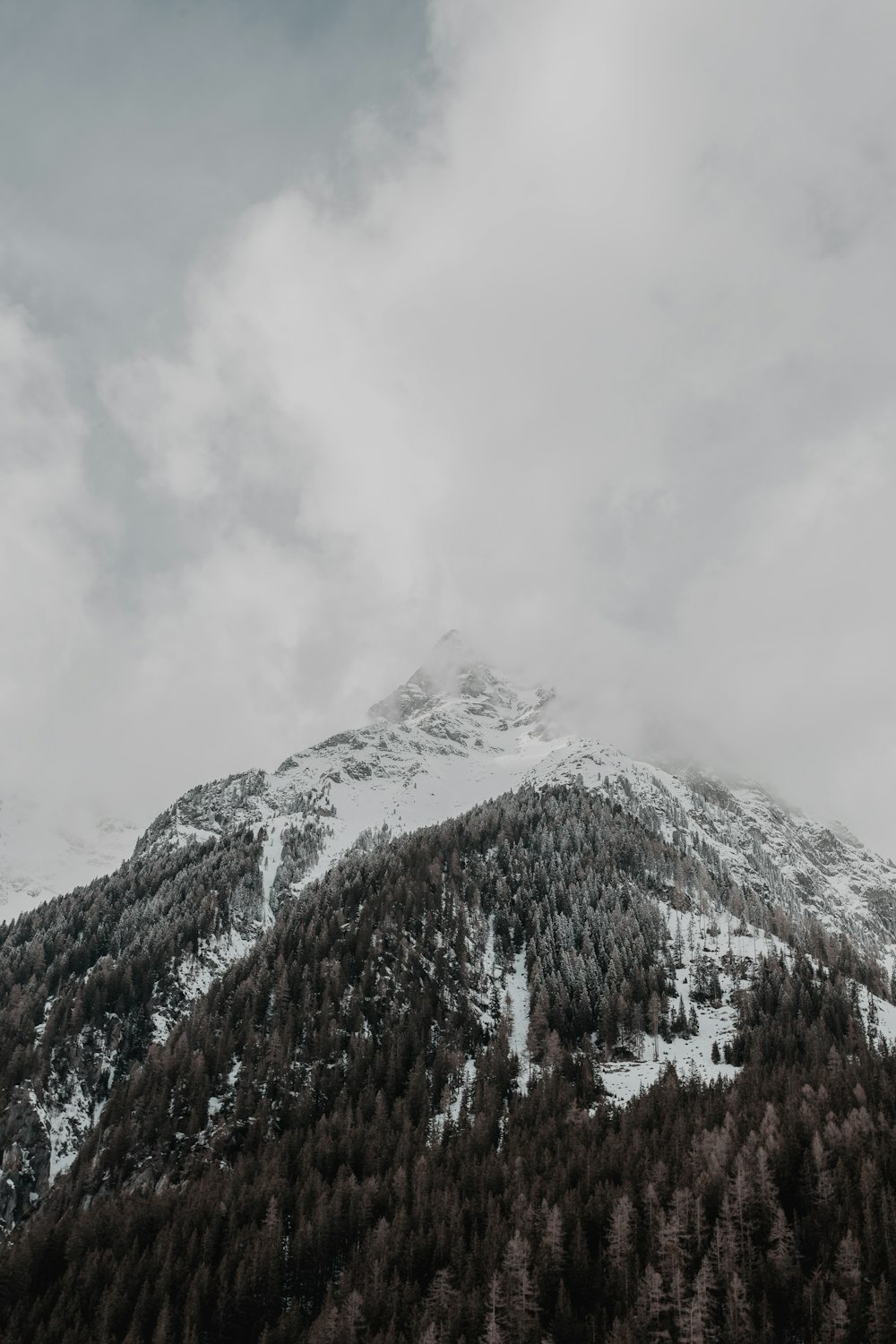 mountain covered with snow and fogs