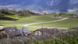 A scenic French countryside path winding through vineyards with a group of travelers enjoying the view.