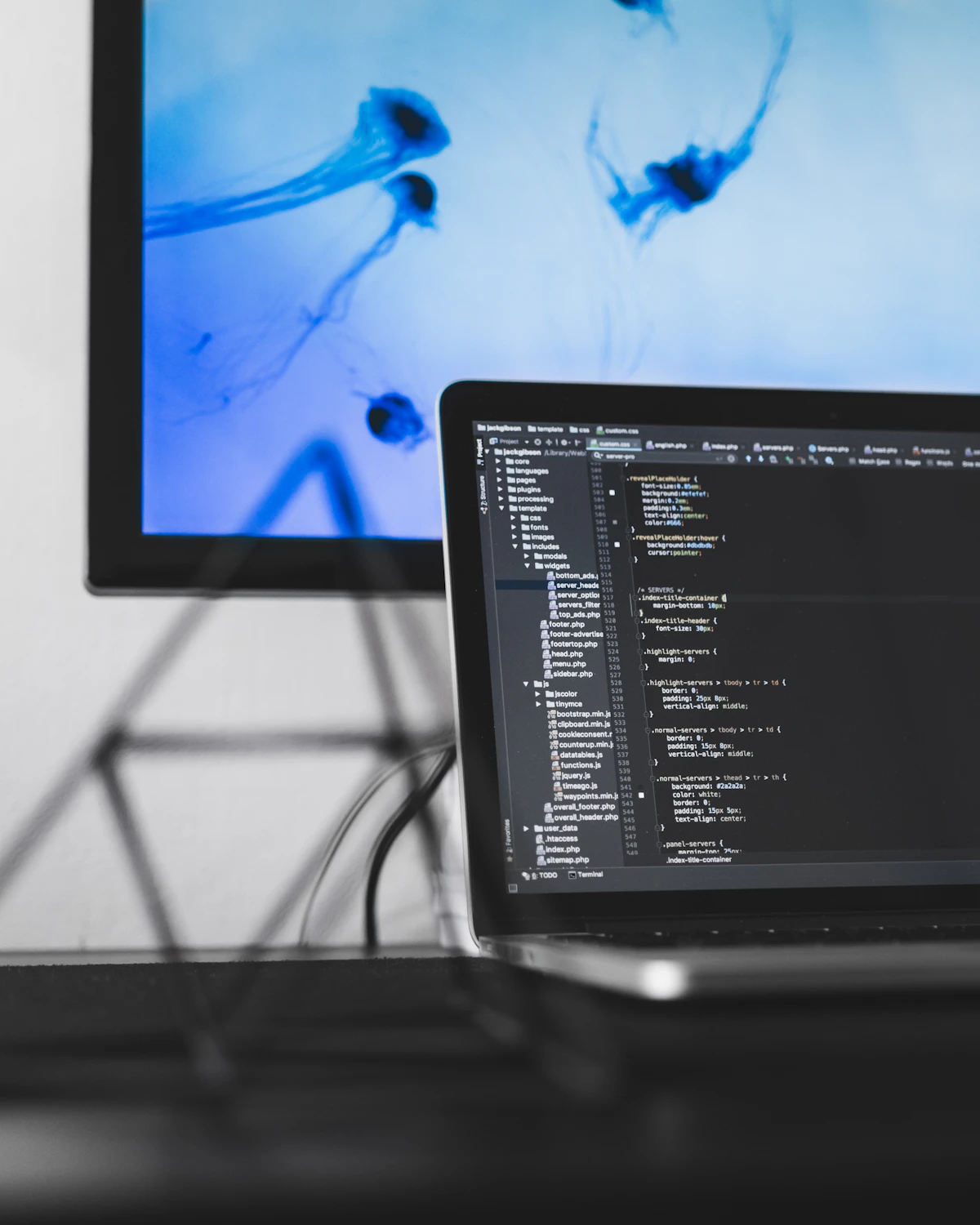 Portátil con código en pantalla, referencia a la experiencia profesional en informática