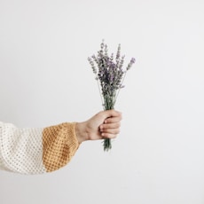 person holding flowers