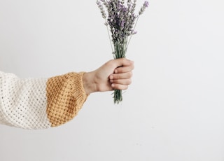 person holding flowers