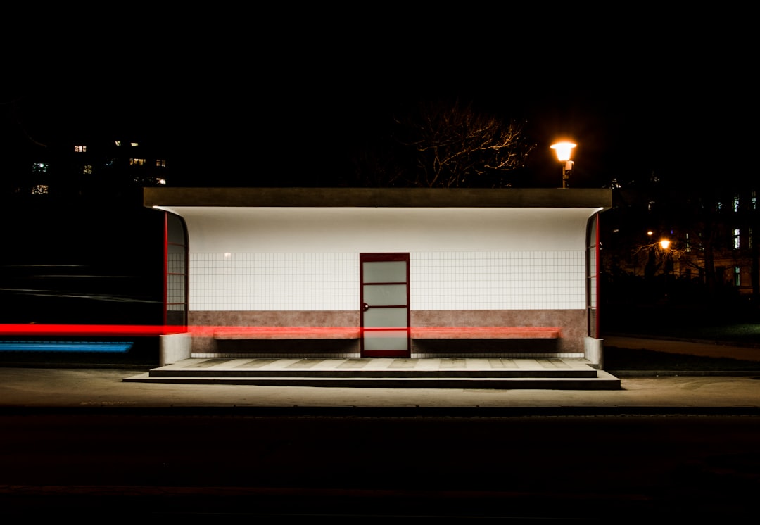 brown empty waiting shed, Missed the bus II