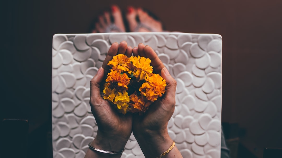 person hand holding yellow flowers