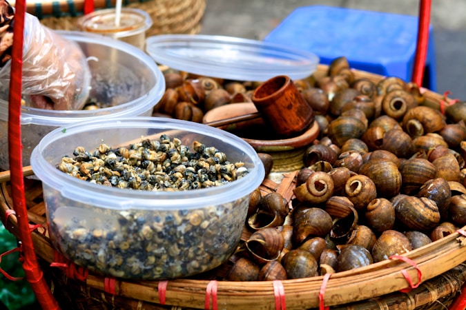 Exploring Helikari Farms: The Future of Snail Farming