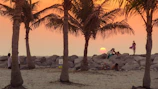 A peaceful sunset scene with lava rock formations and palm trees silhouetted along the shoreline.