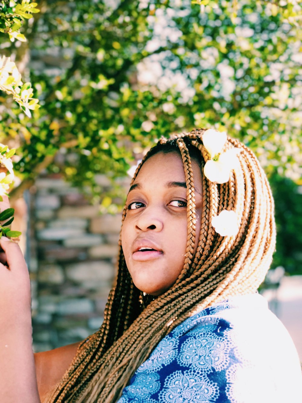 woman holding green leafed plant