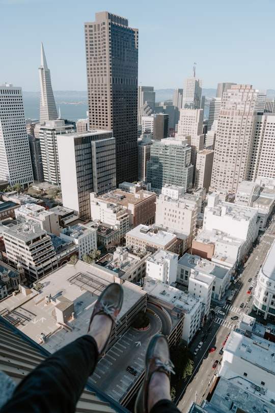aerial photography of concrete buildings at daytime in San Francisco Museum of Modern Art United States