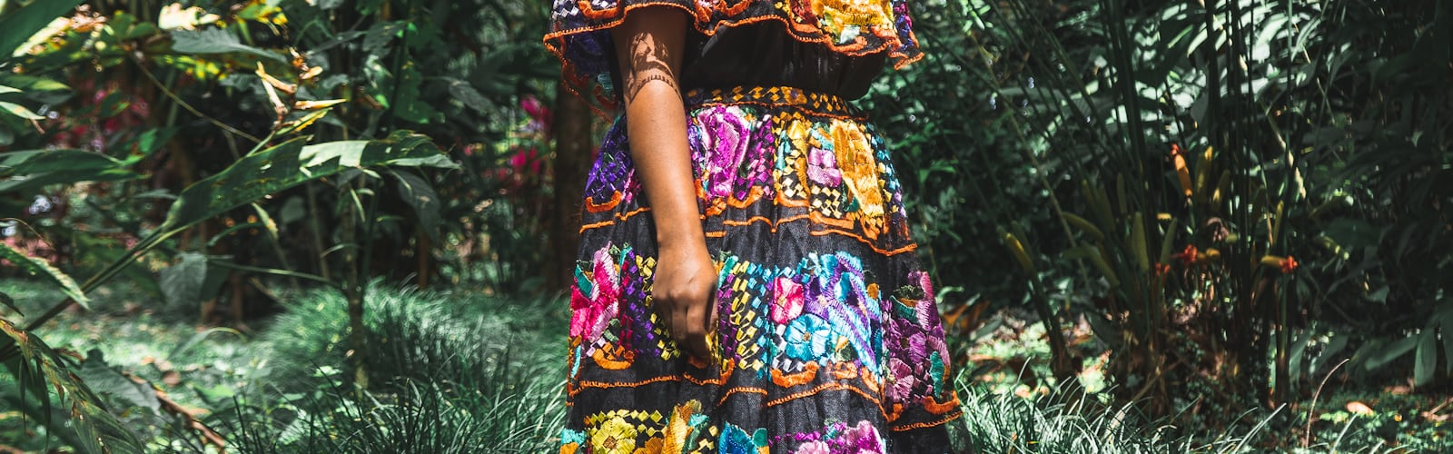 Mexico | 1 best free mexico, rose, flower and color photos on Unsplash
