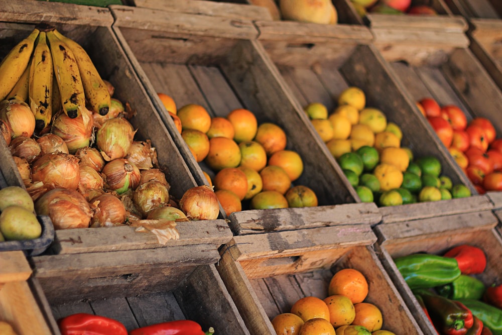 variety of vegetables