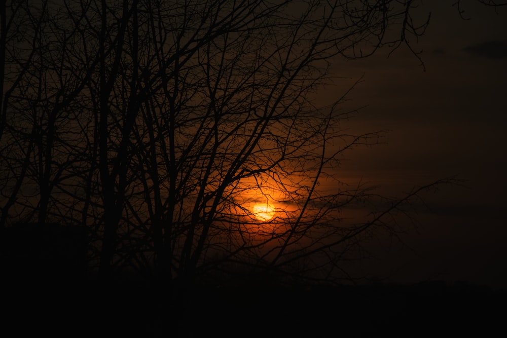 foto do pôr do sol
